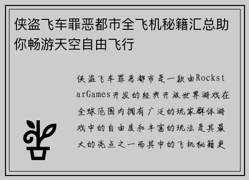 侠盗飞车罪恶都市全飞机秘籍汇总助你畅游天空自由飞行